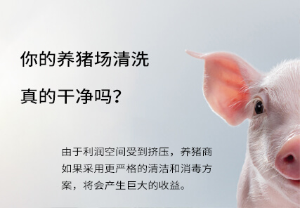 养猪场深层的清洁和消毒，将会为你大大提升收益。